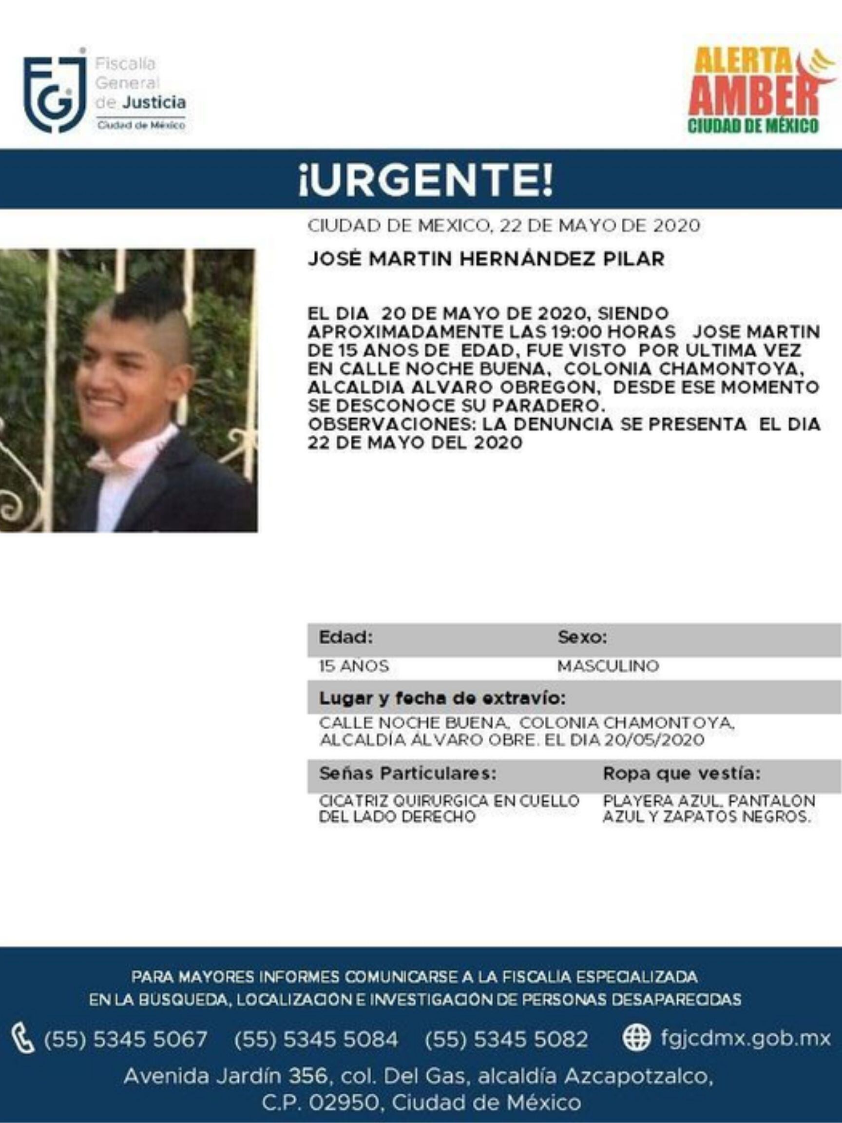 Ficha de búsqueda.