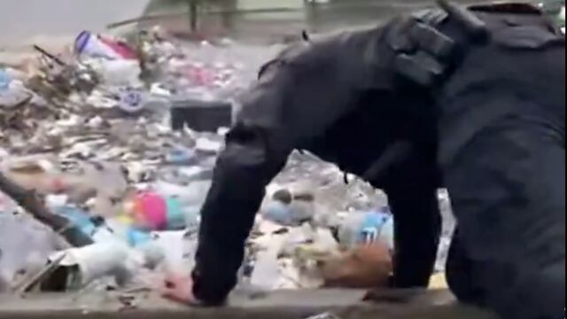 Policía rescata a perrito atrapado en inundaciones de Tijuana