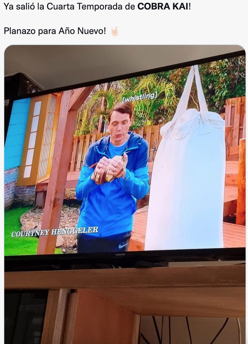 Memes del estreno de 'Cobra Kai'