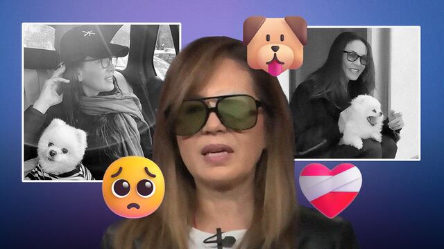 Yolanda Andrade está devastada por la muerte de Amor, su fiel perrita