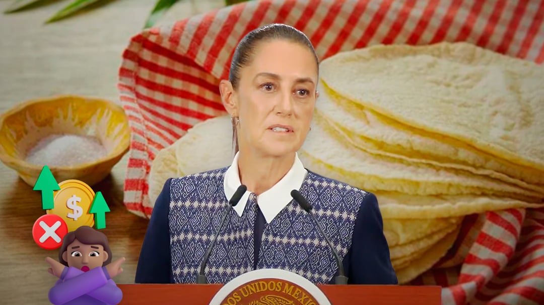 Sheinbaum descarta alza en el precio de la tortilla: “no hay razón para que suba”