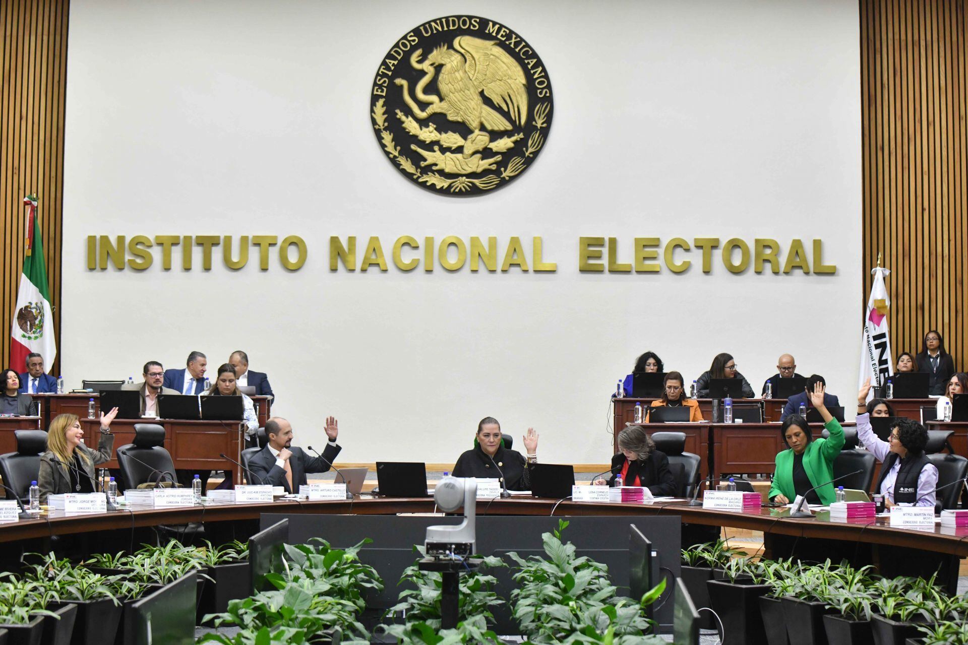 Guadalupe Taddei, consejera presidenta del INE