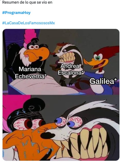 Los memes de Mariana Echeverría en Hoy