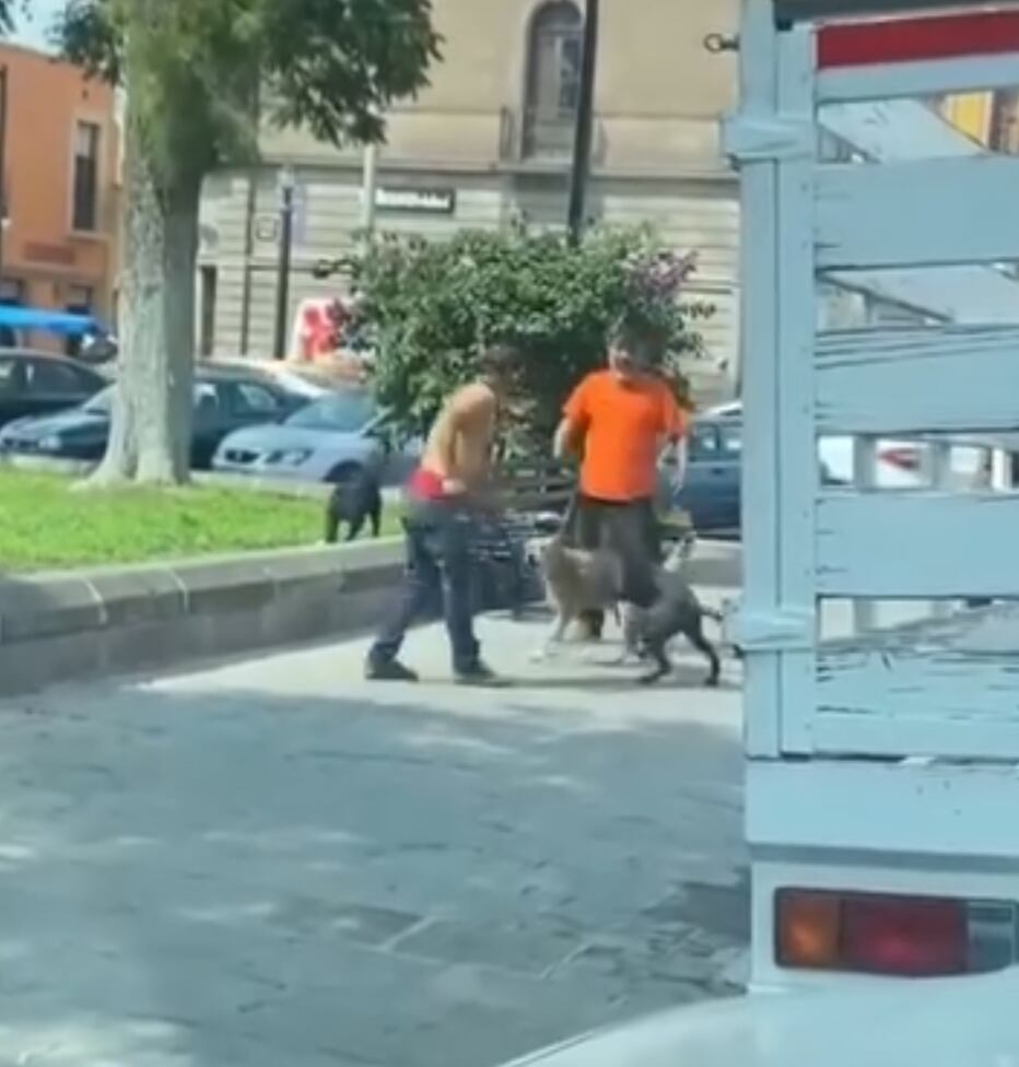 Perros se le fueron encima a hombre que retó a pelear a su dueño