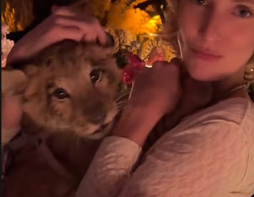 Video de cachorro de león en fiesta de Polanco provoca críticas en redes sociales