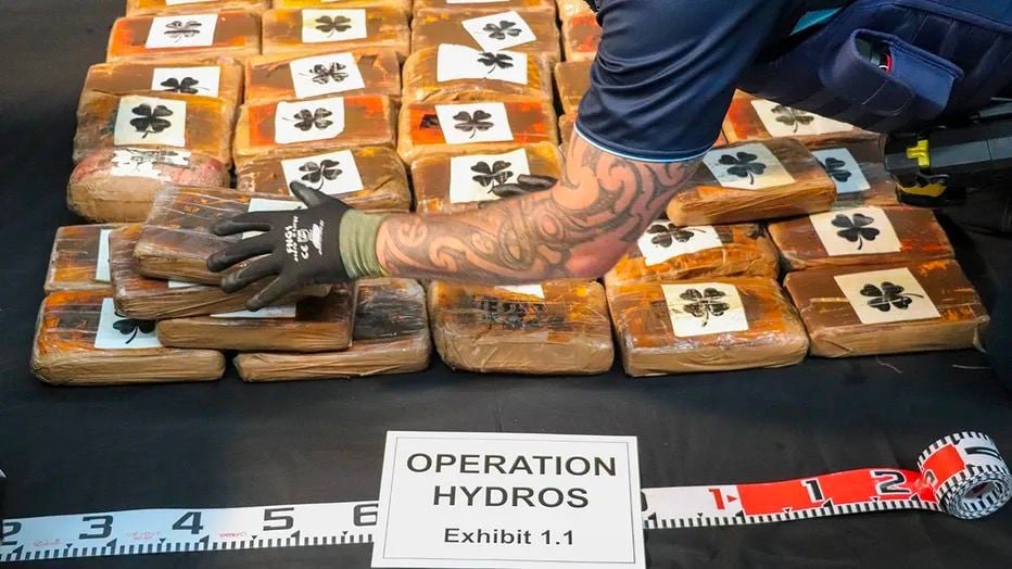 Encuentran más de 5 mil millones de pesos en cocaína flotando en medio del Océano Pacífico
