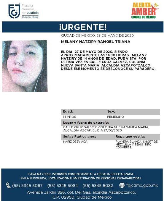 Ficha de búsqueda.