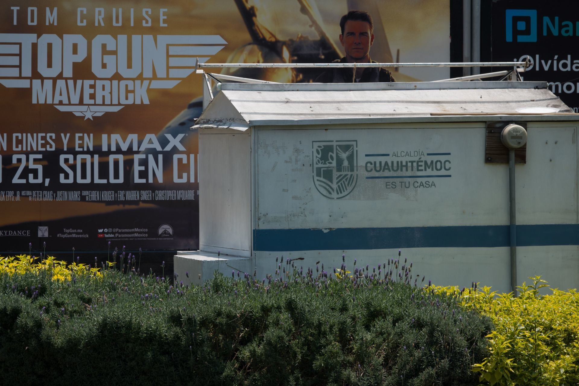 La gráfica popular eliminada de puestos