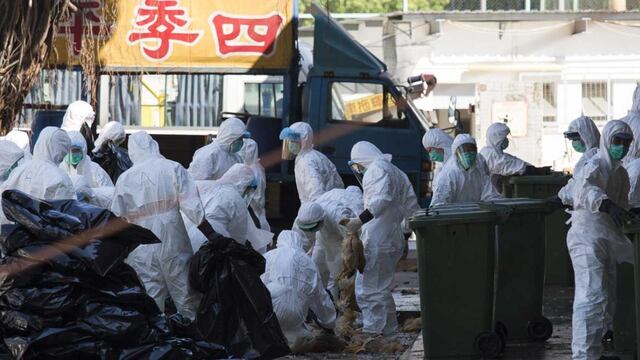 Gripe aviar H5N6 en China