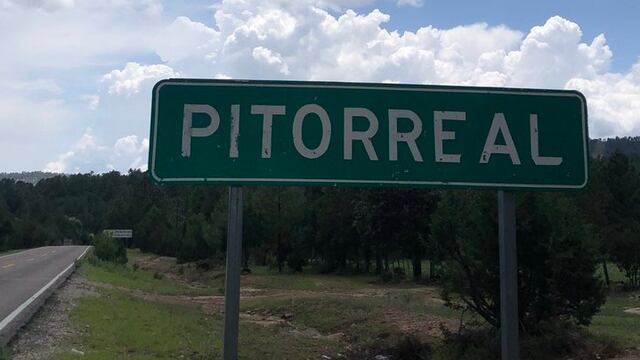 Pitorreal, Chihuahua/internet