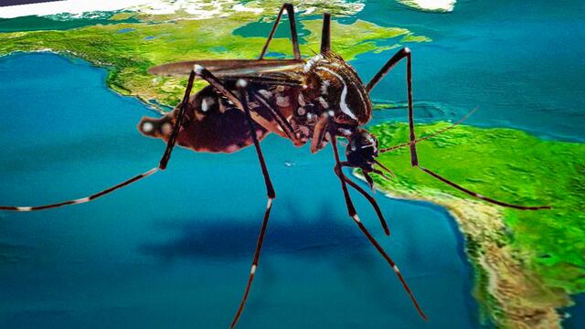 Virus podría generar nueva epidemia en América