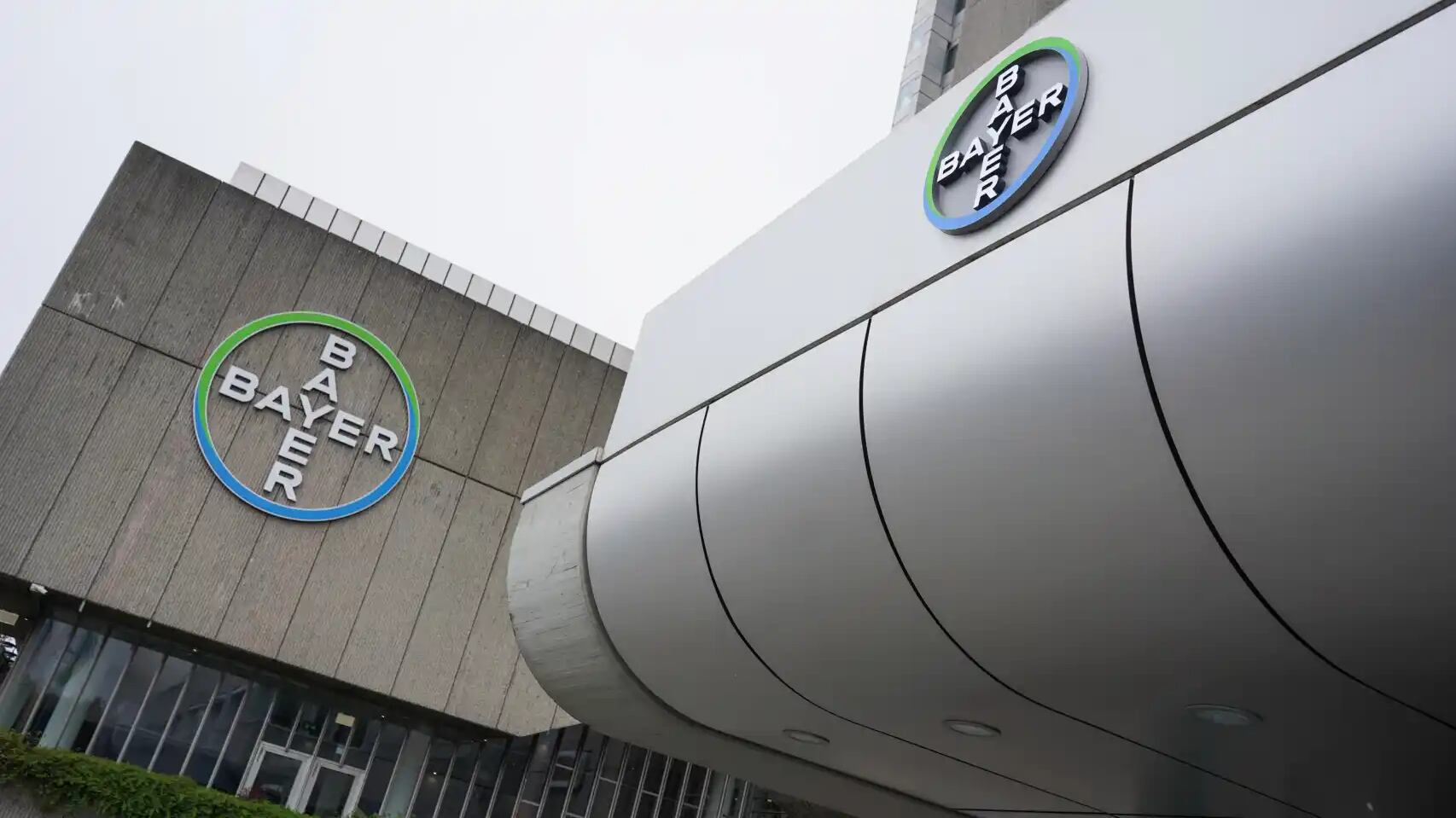 Carta aclaratoria para los directivos de Laboratorios Bayer