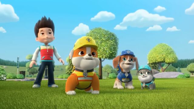 Paw Patrol y Rubble y Equipo