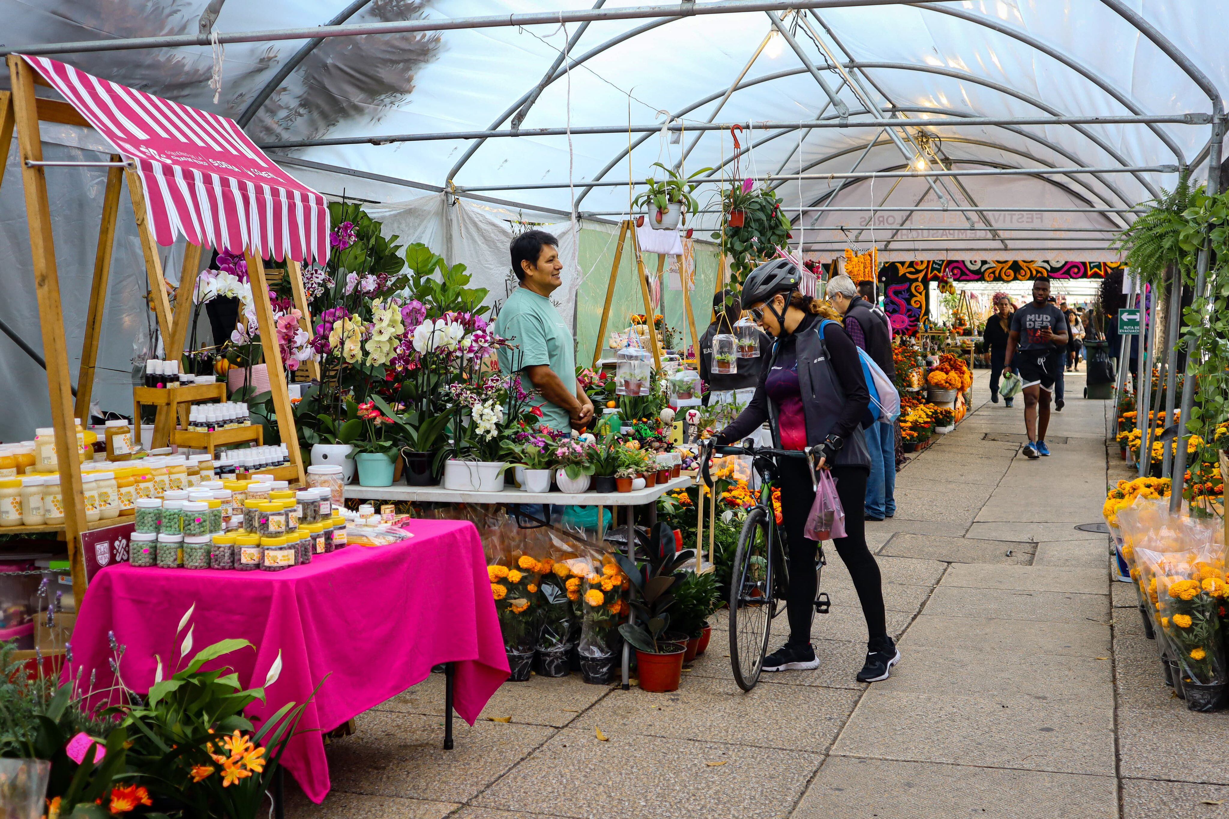 Festival de las Flores de Cempasúchil 2024: Precio, fechas y sede para surtirte antes de Día de Muertos 2024