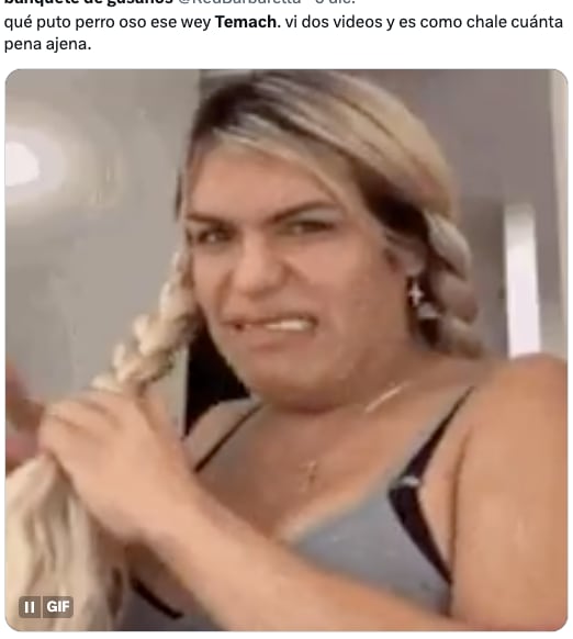 El Temach desata memes tras su cancelación