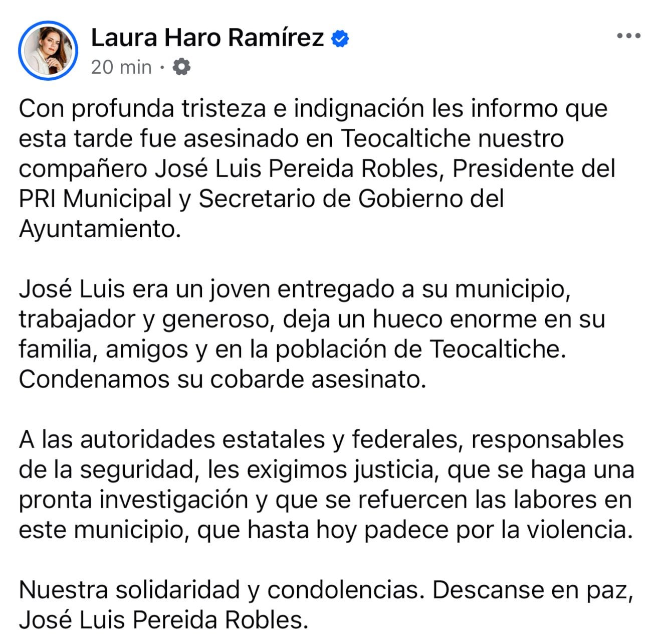 ¿Quién fue José Luis Pereira Robles?