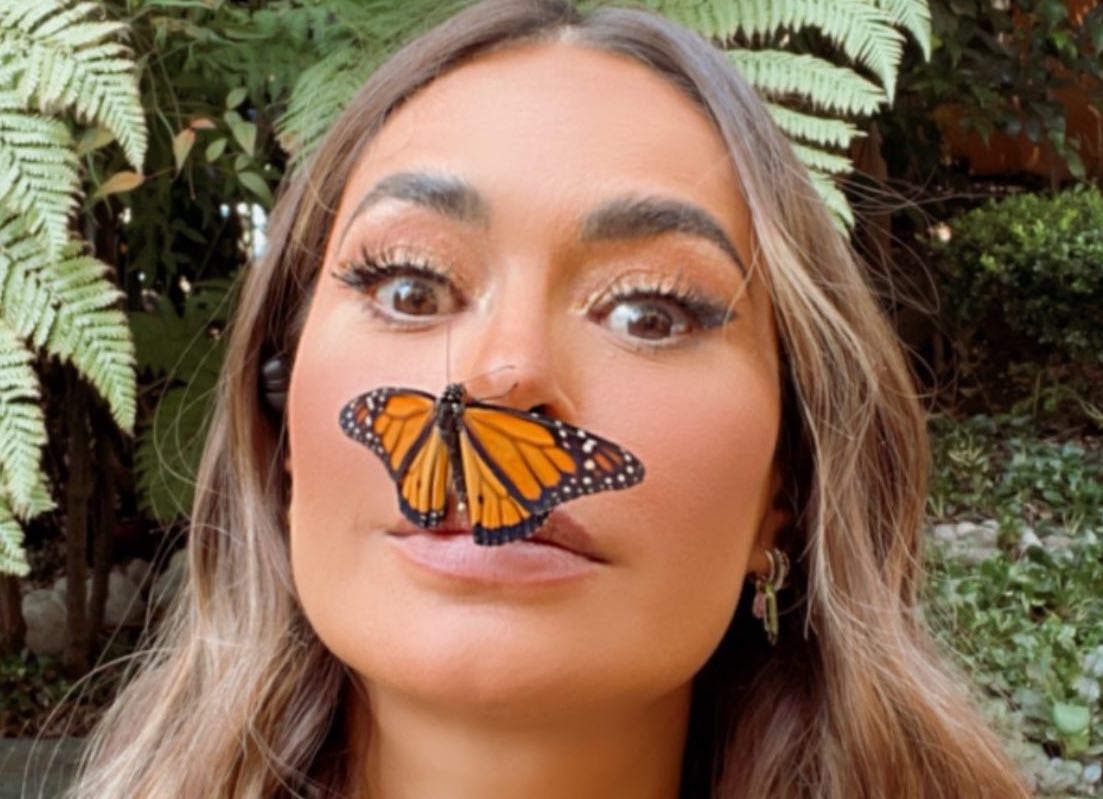 Mariposa se aferra a rostro de Galilea Montijo