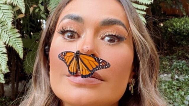 Mariposa se aferra a rostro de Galilea Montijo