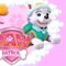 10 fondos de pantalla de Skye y Everest de Paw Patrol para computadora por el Día Internacional de la Mujer