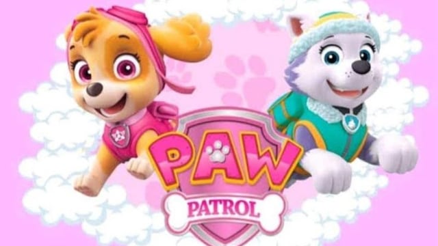 Fondos de pantalla de Skye y Everest de Paw Patrol para computadora