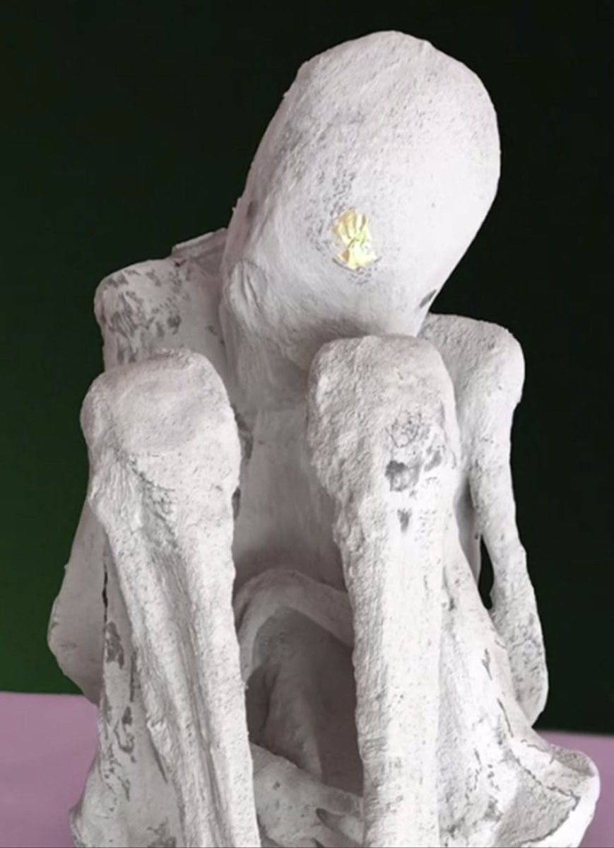 ¿Es extraterrestre? Jaime Maussan muestra tomografía a otro ser no humano embarazado