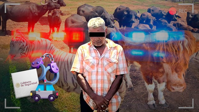 Gabinete de Seguridad asegura 130 animales exóticos en rancho de Tamaulipas