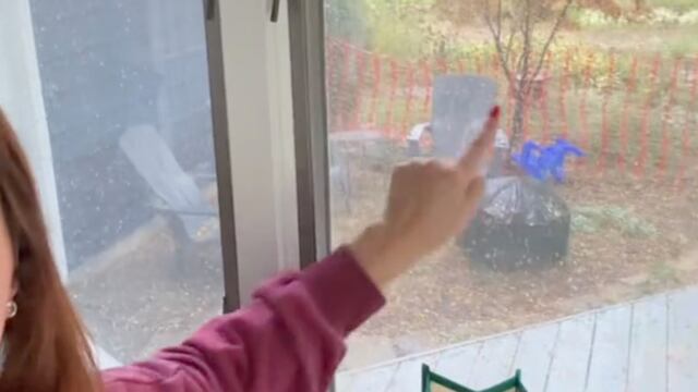 El video de una alfombra encontrada en el jardín que se vincularía a un crimen sin resolver