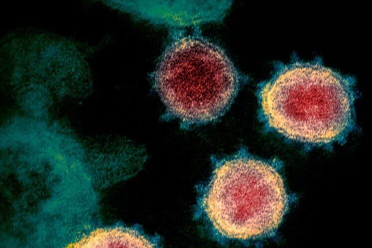 Coronavirus