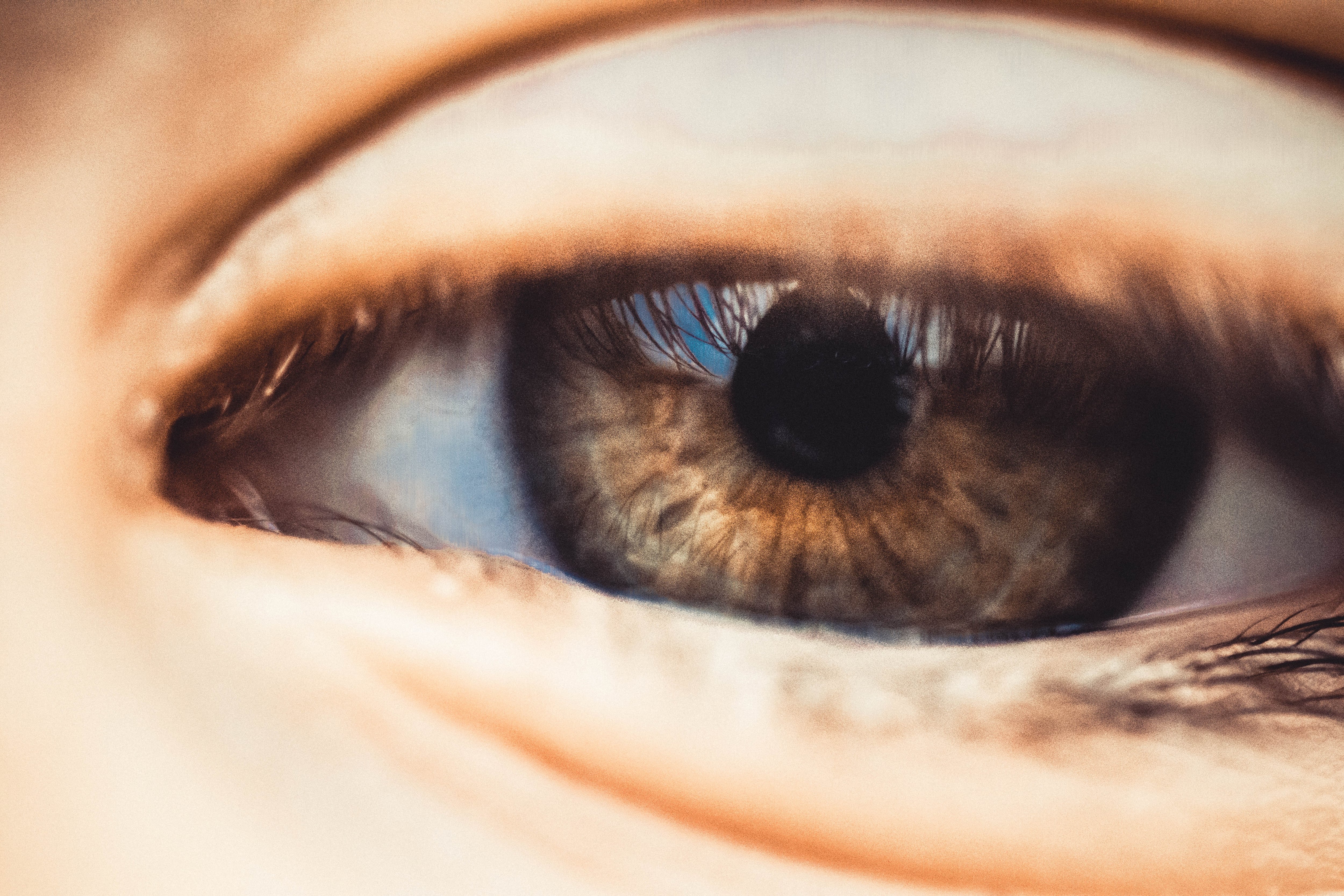 Ojo de los humanos