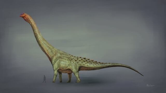 Un titanosaurio de hace 85 millones de años.