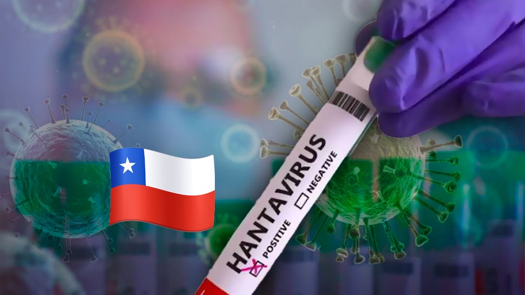 Vacuna chilena podría ayudar a frenar brote de hantavirus