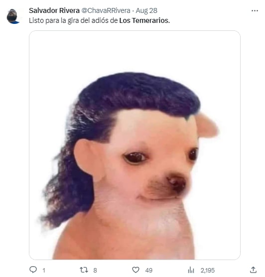 Memes por el adiós de Los Temerarios