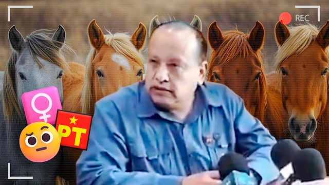 Martín Palacios Calderón ,diputado del PT en Tabasco, compara a los caballos con mujeres