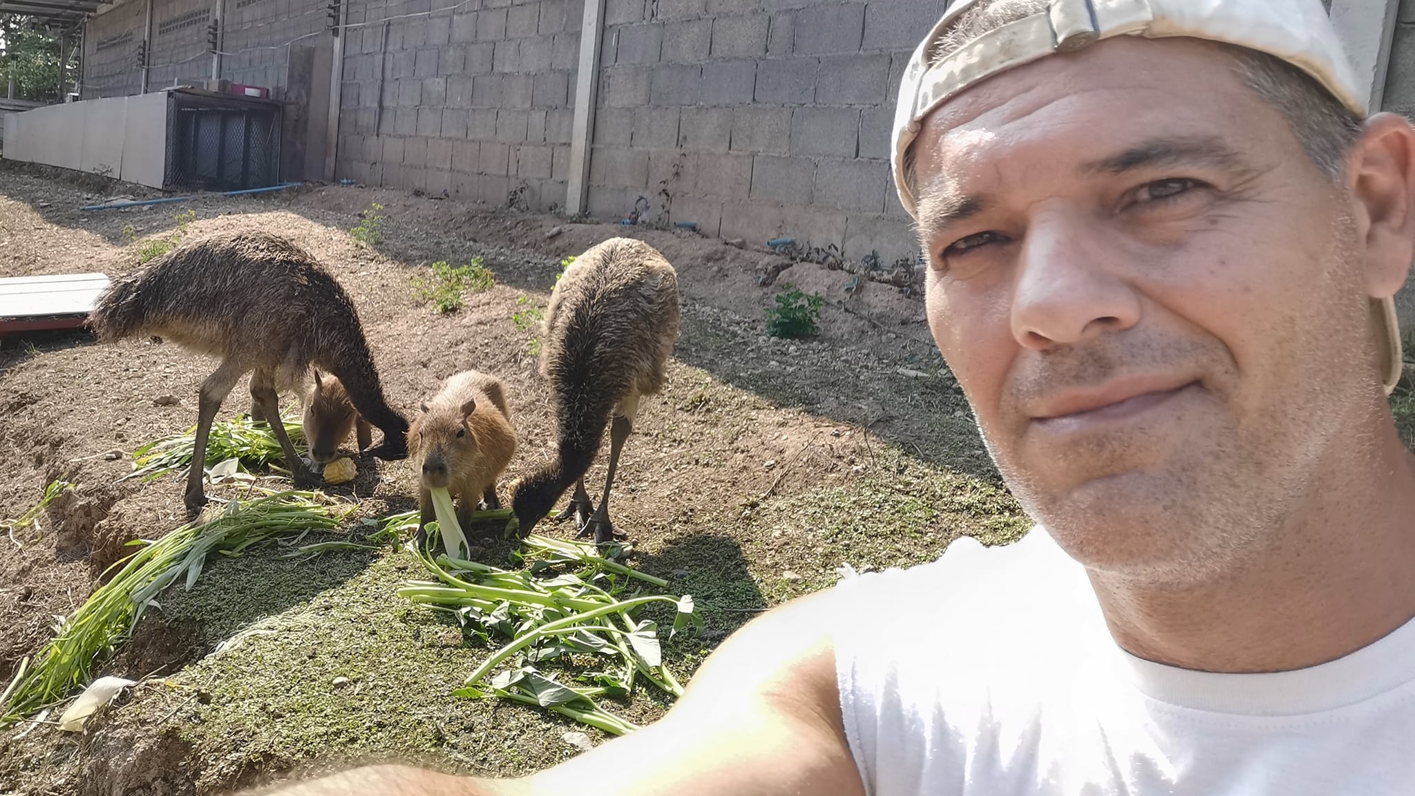 Frank Cuesta admite sus mentiras: No es herpetólogo, no tiene cáncer y jamás ha rescatado animales