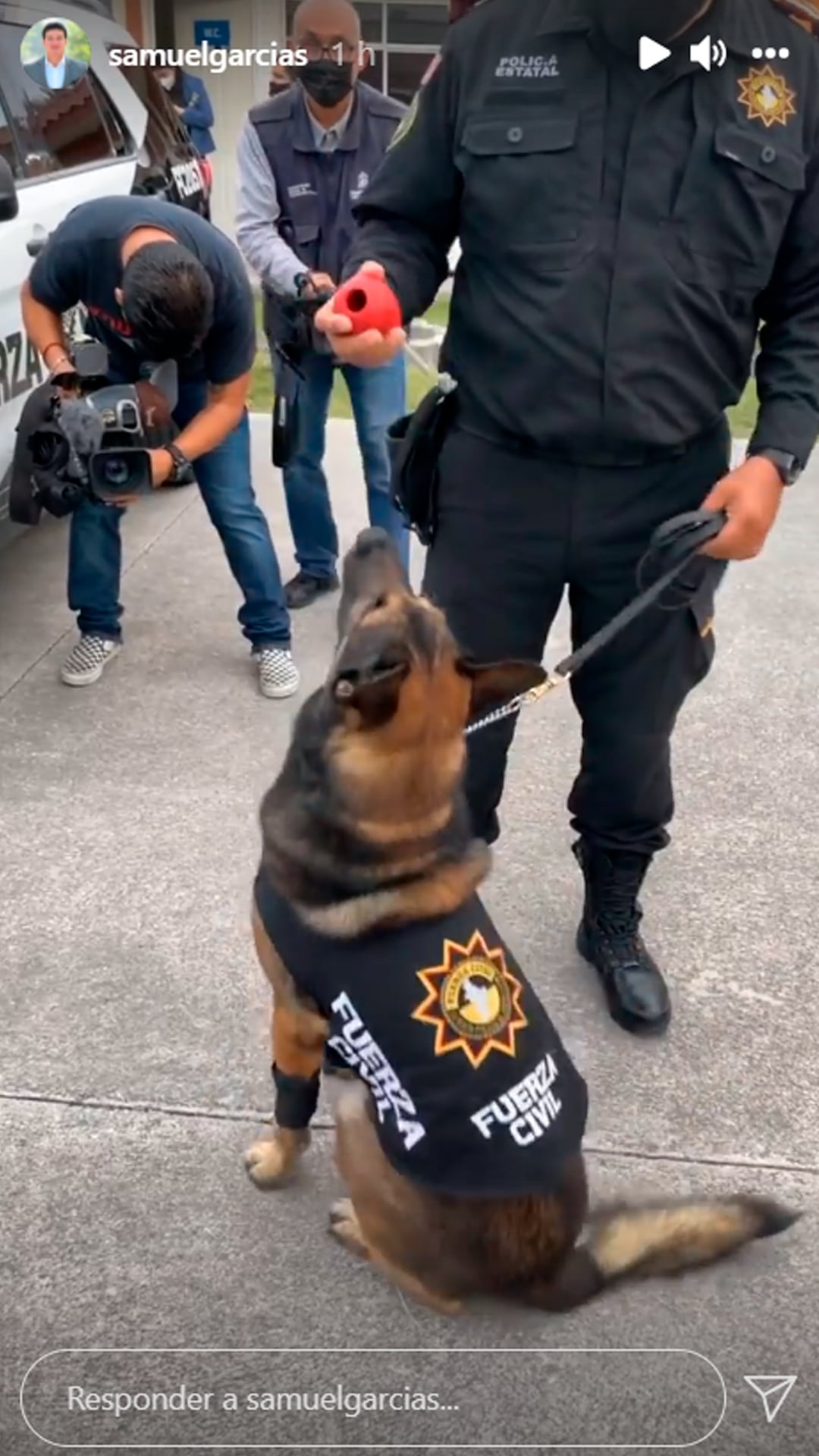 Captura de pantalla de Instagram de Samuel García/binomio canino