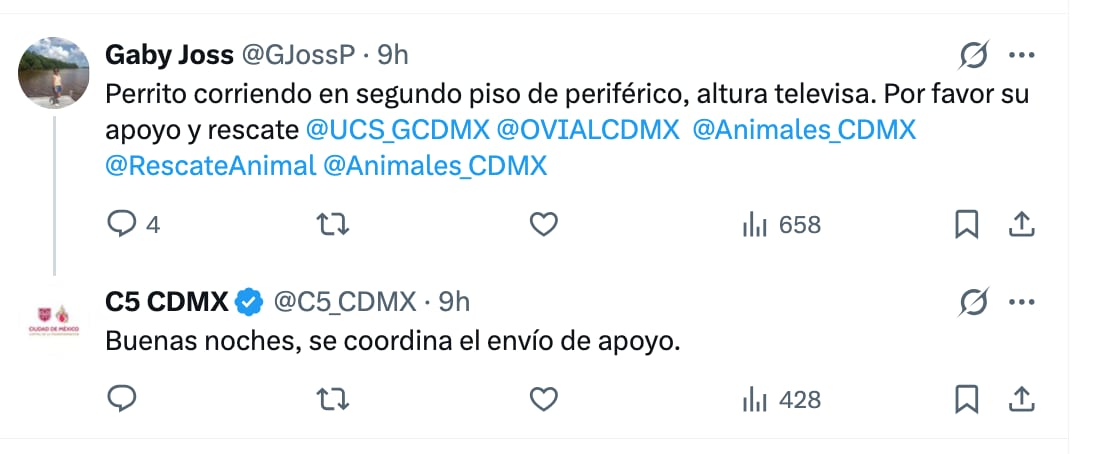 Captan a perro corriendo por el segundo piso del periférico