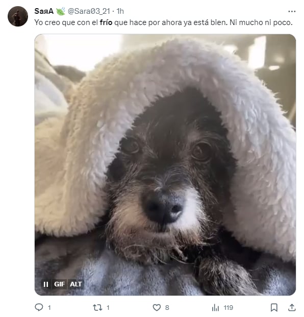 Team frío protagoniza memes por bajas temperaturas en CDMX