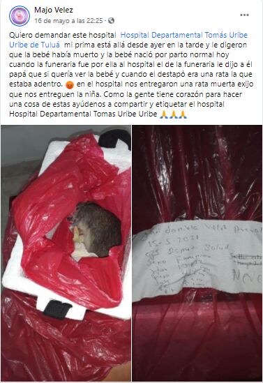 Post en Facebook sobre la denuncia de la rata muerta.