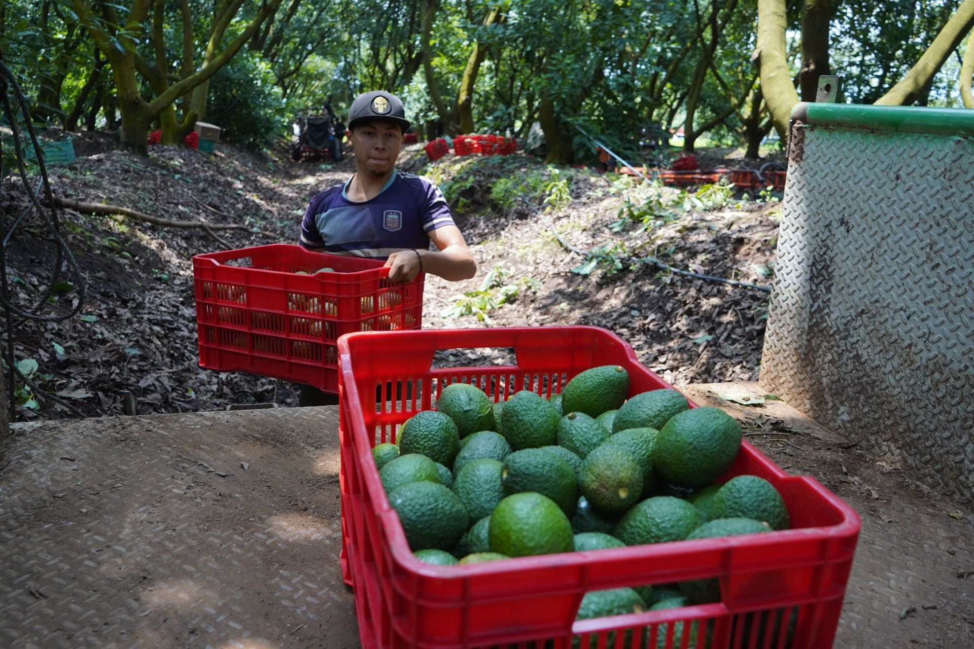 México es el principal socio comercial de Estados Unidos, pero China le complica el camino