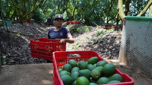 México es el principal socio comercial de Estados Unidos, pero China le complica el camino