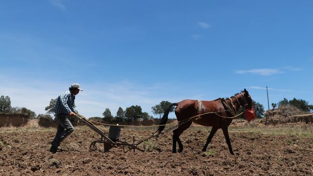 Campo mexicano. Peligro de soberanía alimentaria.