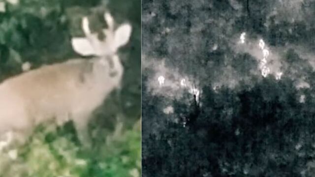 VIDEO: Usa dron para rastrear al ratero y TikTok se asusta al descubrir que no era una persona