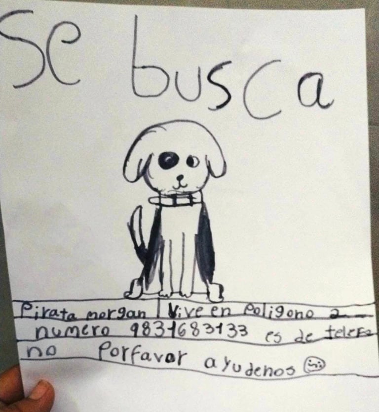 Cartel de perrito perdido