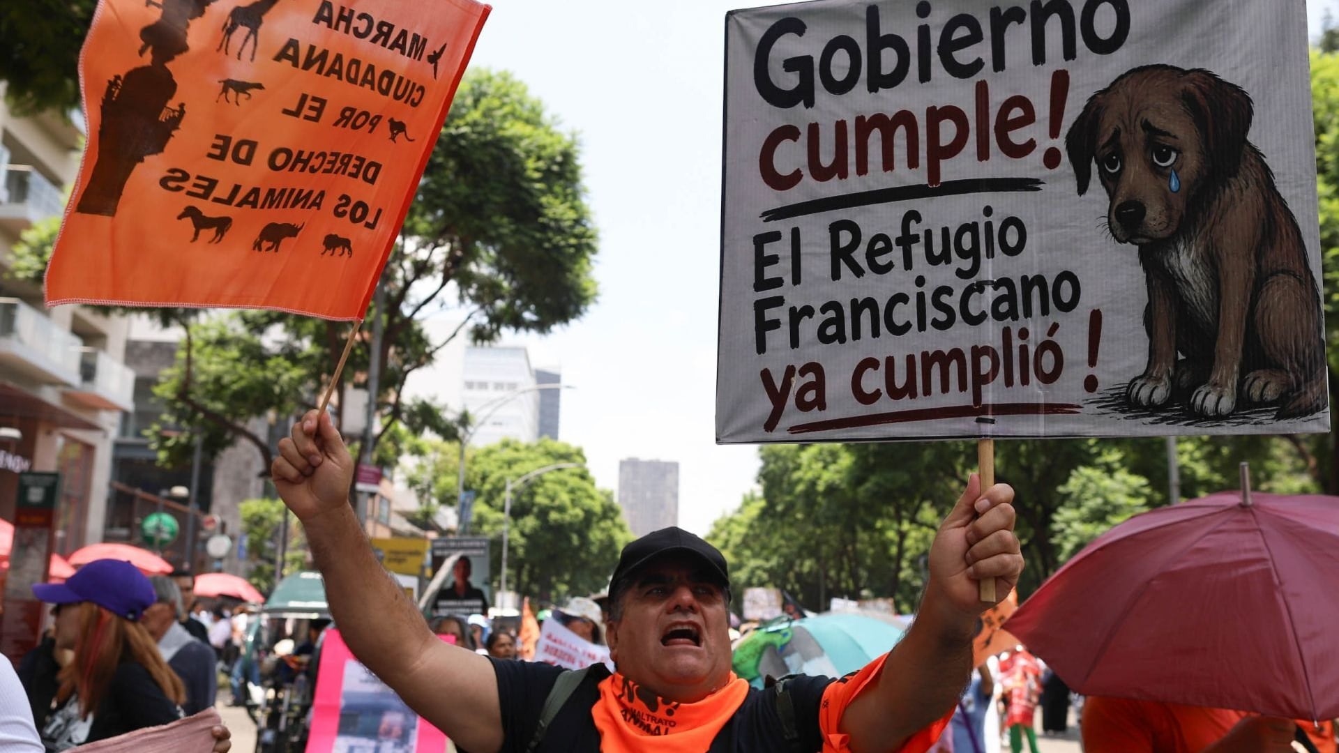 Fundación Haghenbeck denuncia a funcionarios por omisiones en el Refugio Franciscano