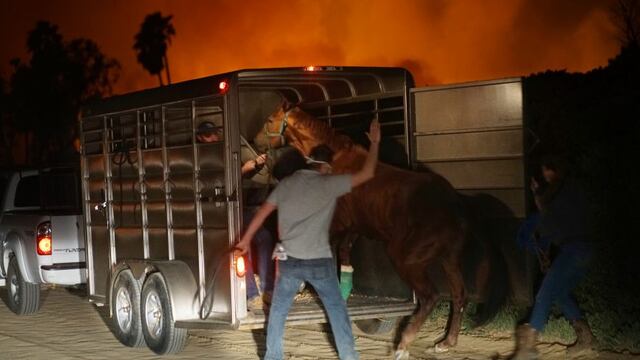 Caballos escapan el incendio