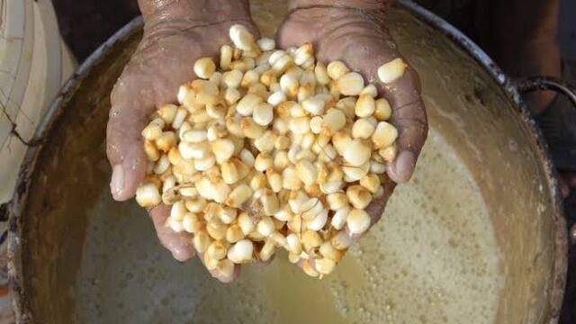 Producción de tortillas con nixtamalización o masa de maíz