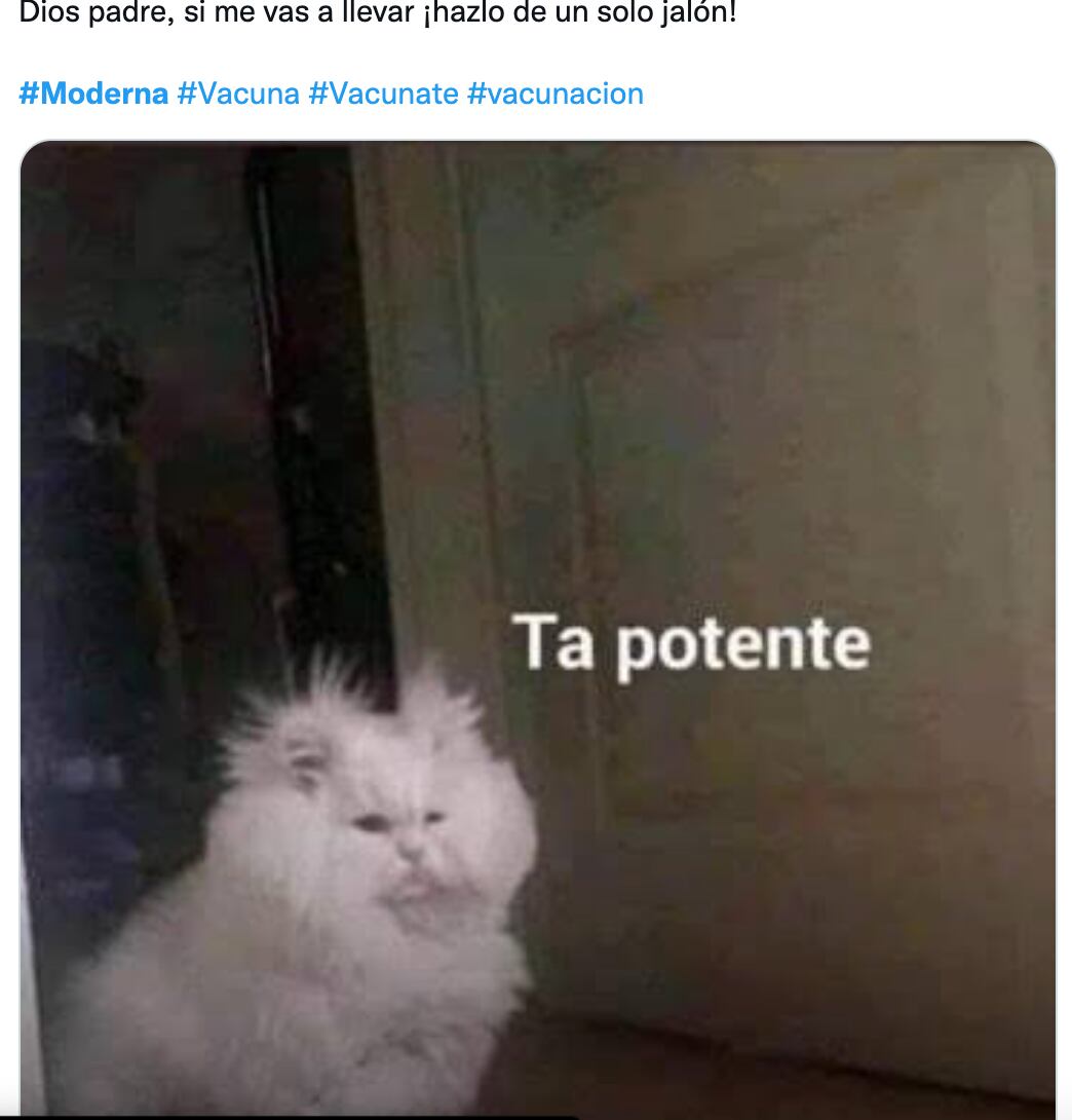 Memes de la vacuna Moderna a maestros