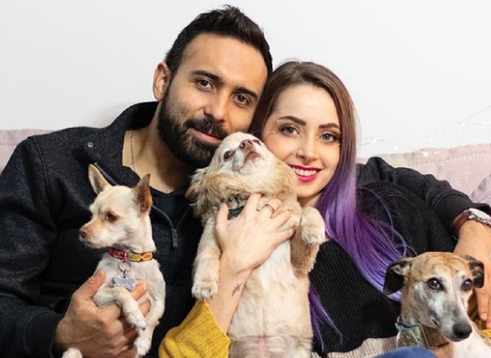 YosStop, Gerardo González y sus perros