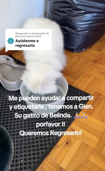 Glen bebiendo en tupper