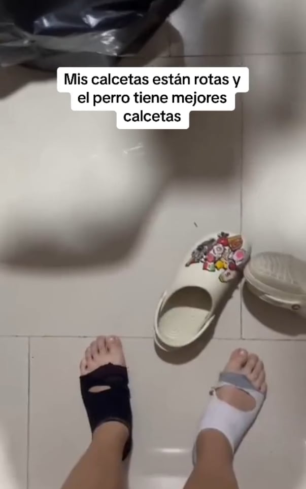 Exhibe en TikTok sus calcetas todas rotas, mientras el perro tiene unas nuevas